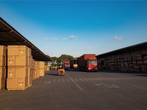 云倉(cāng)服務(wù)怎么幫電商省成本