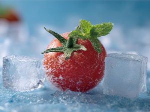 冷鏈云倉 解鎖新鮮供應(yīng)鏈的秘密