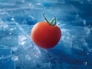 冷鏈倉儲如何解決生鮮痛點