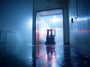 ?? 冷鏈云倉倉配一體